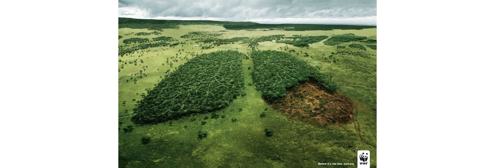 visual storytelling_WWF